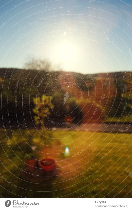 Unschärfe Umwelt Natur Landschaft Himmel Horizont Sonne Sommer Garten blau gelb Blick Fensterscheibe Farbfoto Außenaufnahme Textfreiraum oben Morgen Licht