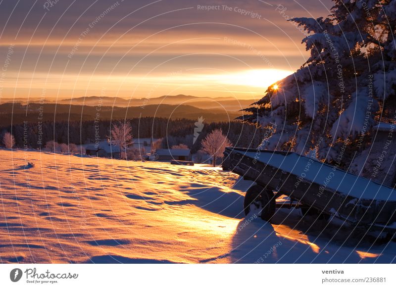 Sonnenaufgang im Mühlviertel Natur Landschaft Pflanze Himmel Sonnenuntergang Sonnenlicht Winter Schönes Wetter Schnee Hügel Anhänger Erholung Farbfoto