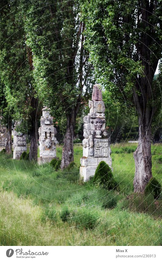 Weit weit weg Ferien & Urlaub & Reisen Expedition Skulptur Baum Gras Park alt exotisch Statue Stein Regensburg Farbfoto Außenaufnahme Menschenleer Natur Wiese