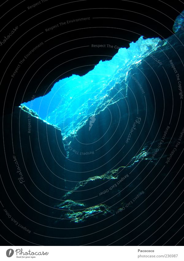 Unterwasserhöhle ruhig Ferien & Urlaub & Reisen Ausflug Meer tauchen Natur Wasser Sommer Schönes Wetter Stein außergewöhnlich dunkel blau Kraft gefährlich
