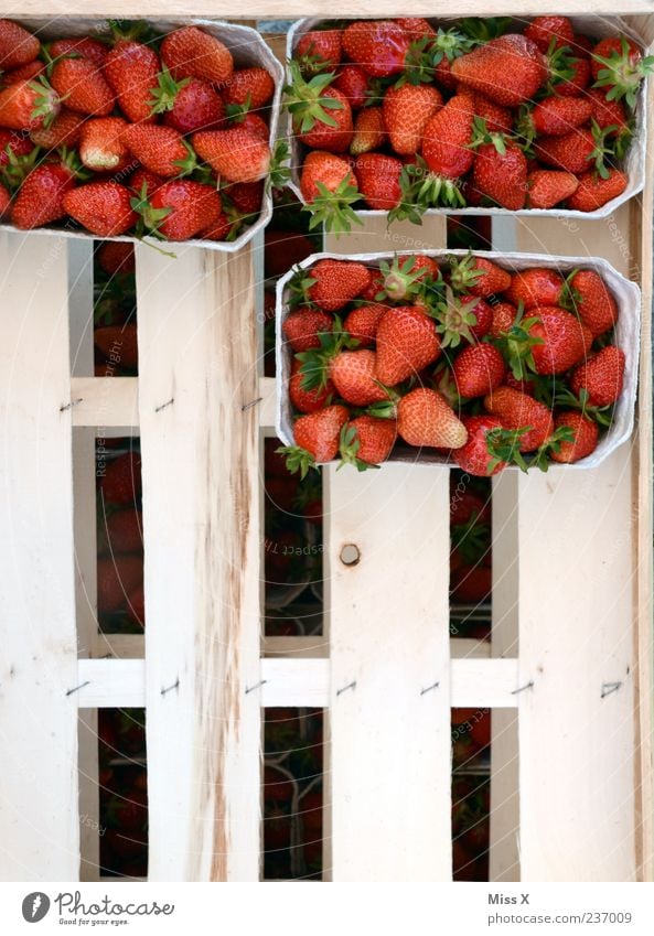 Schalen Lebensmittel Frucht Ernährung Bioprodukte frisch lecker saftig süß Erdbeeren Obstschale Obstkiste Ernte Farbfoto Außenaufnahme Muster Menschenleer