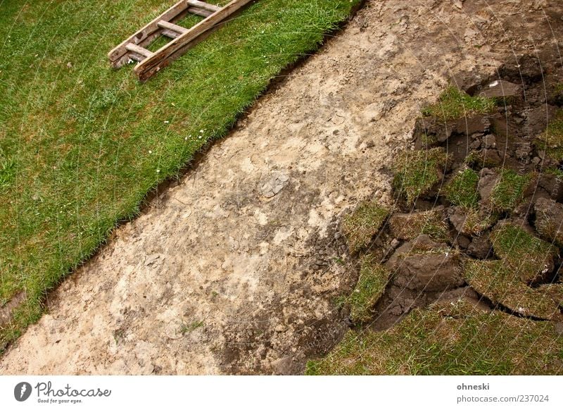 Neuer Weg Gras Garten Wiese Wege & Pfade Leiter bauen grün Arbeit & Erwerbstätigkeit Sand Farbfoto Außenaufnahme Strukturen & Formen Menschenleer