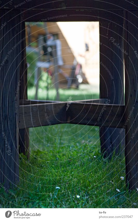 unterm Tisch Durchblick Wiese Gänseblümchen Garten Haus Farbfoto Außenaufnahme Menschenleer Tag Schwache Tiefenschärfe Holz tischbein tischbeine Unschärfe