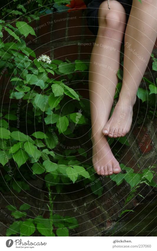 Ich mag dich. Frühling Sträucher Blatt Backstein berühren Blühend Geborgenheit bescheiden Farbfoto Außenaufnahme Unterschenkel Frauenbein Wachstum Natur