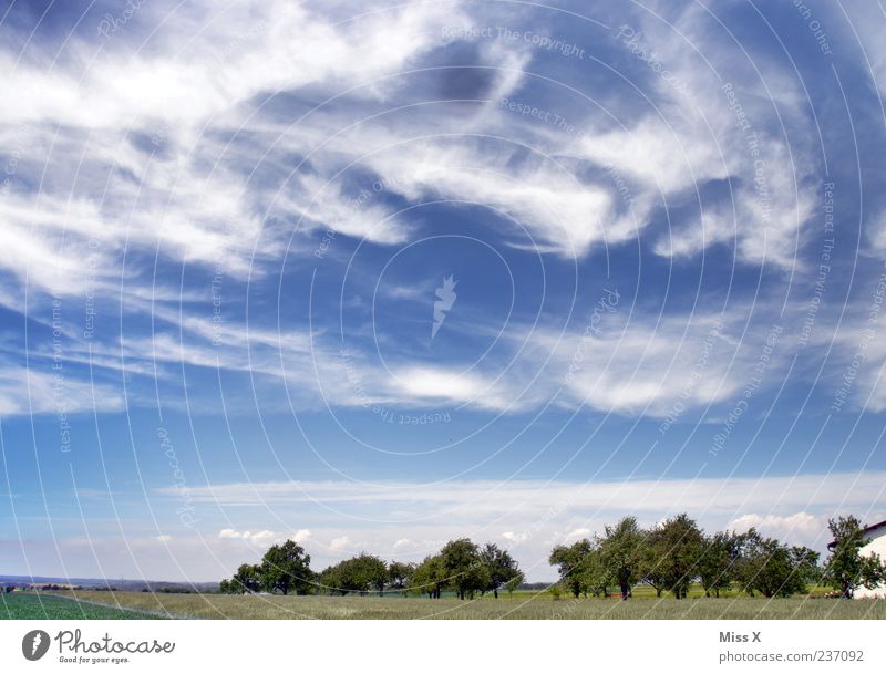 Wettergott mit Wolkengesicht Natur Landschaft Himmel Sommer Klima Schönes Wetter Wind Baum Wiese Feld blau Freiheit Horizont Ferne Streuobstwiese Blauer Himmel