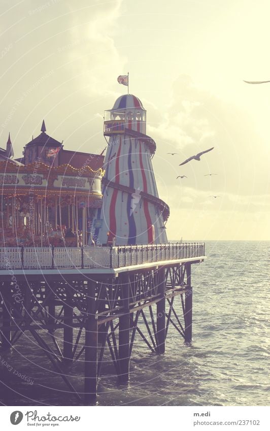 Br-Br-Brighton Tourismus Ausflug Sightseeing Strand Meer Traumhaus Jahrmarkt England Anlegestelle Kitsch Farbfoto Außenaufnahme Tag Zentralperspektive Vogel