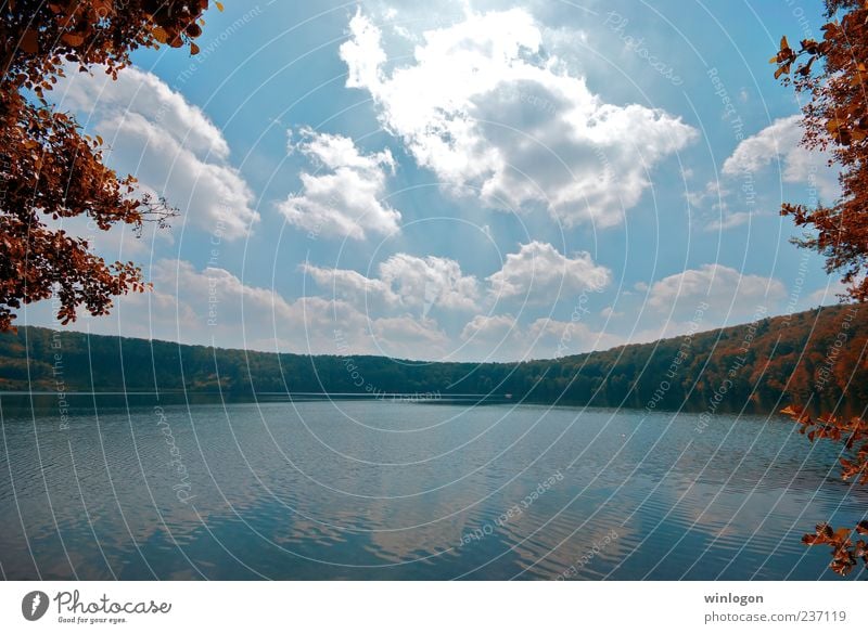 Schau! Fisch Erholung Tourismus Ausflug Herbst See Seeufer Gardasee Joggen Umwelt Natur Pflanze Urelemente Wasser Himmel Wolken Gewitterwolken Horizont Baum