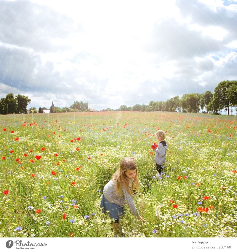 internationaler kindertag ruhig Duft Freizeit & Hobby Ferien & Urlaub & Reisen Ausflug Freiheit Sommer Sommerurlaub Sonne Mensch Kind Mädchen Junge Geschwister