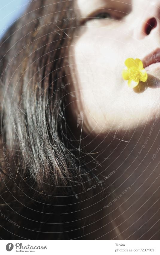 gelbe Blume im Mundwinkel einer Frau Junge Frau Jugendliche Haare & Frisuren Gesicht Auge 1 Mensch Blüte brünett langhaarig natürlich feminin blau braun