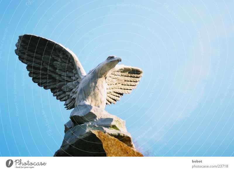 Stoned III Statue Adler stagnierend Feder Sonnenaufgang Beton Kunst Bildhauerei Vogel Handwerk Greifvogel Flügel fliegen Himmel blau Stein versteinert