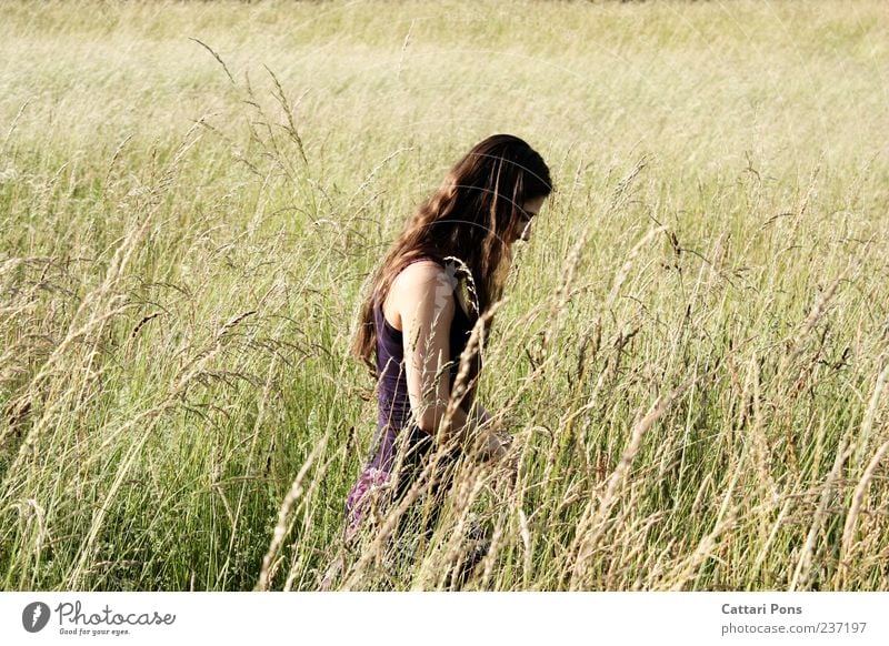 Im Feld feminin Junge Frau Jugendliche Erwachsene 1 Mensch Landschaft Schönes Wetter Rock Kleid brünett langhaarig wählen beobachten genießen frei schön dünn