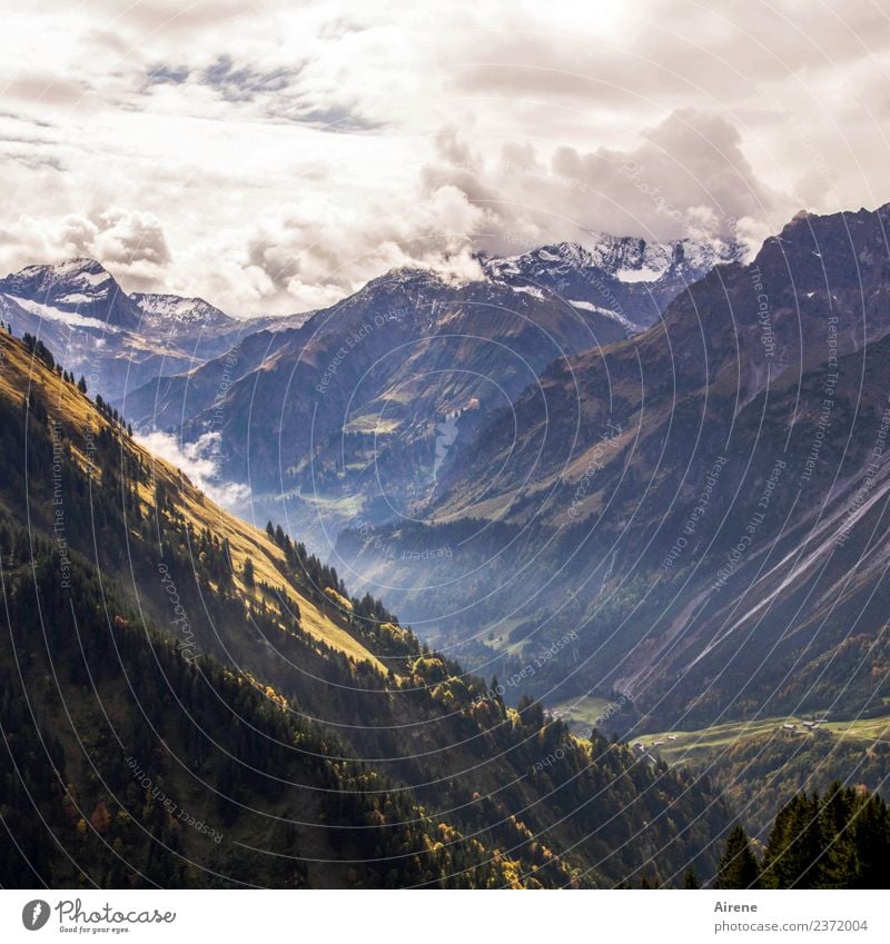 Bergkulisse Ferne Freiheit Berge u. Gebirge wandern Wolken Herbst Wetter Alpen Bregenzerwald Gipfel Schneebedeckte Gipfel Berghang Tal gigantisch Unendlichkeit