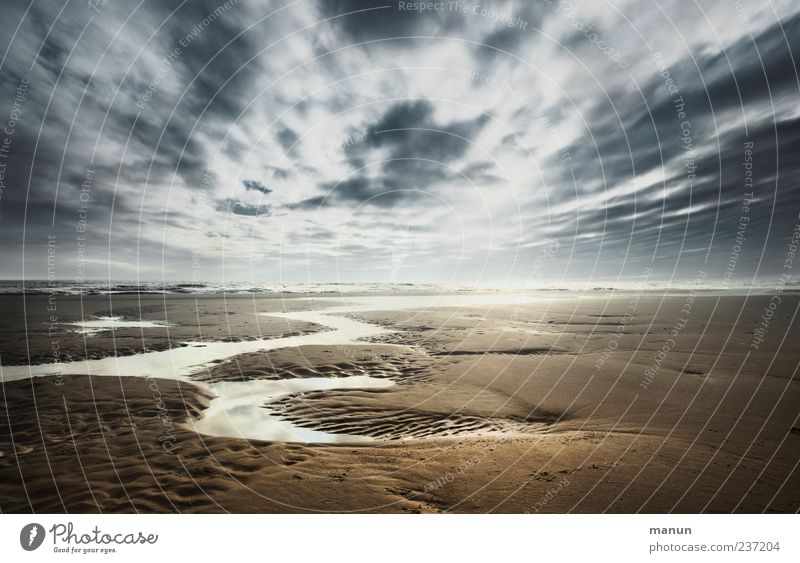 Watt'n Wetter Ferien & Urlaub & Reisen Freiheit Natur Landschaft Sand Wasser Himmel Wolken Gewitterwolken Horizont Sonne Wind Küste Strand Nordsee Meer Amrum