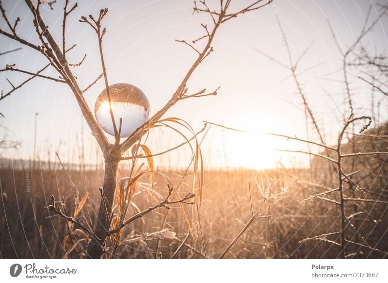 Sonnenaufgang reflektiert in einer Kristallkugel in einem Baum schön Meditation Ferien & Urlaub & Reisen Winter Schnee Weihnachten & Advent Umwelt Natur