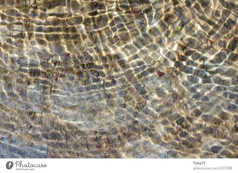 Wasserspiel Umwelt Sommer Strand Teich Bach nass Stimmung Freude Glück Bewegung Klima ruhig Farbfoto Gedeckte Farben Außenaufnahme Detailaufnahme Muster