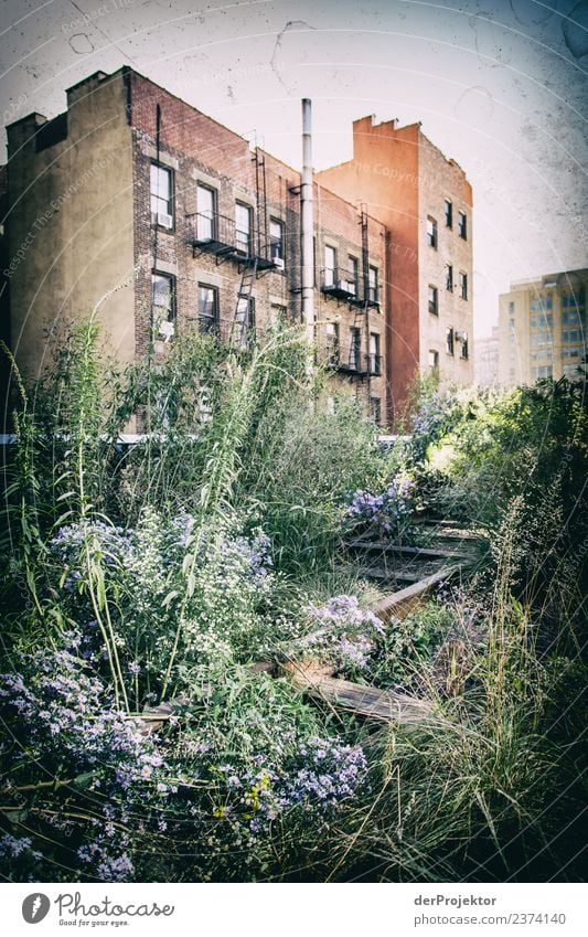 Highline in New York I Starke Tiefenschärfe Kontrast Schatten Licht Tag Textfreiraum Mitte Textfreiraum unten Textfreiraum links Textfreiraum rechts