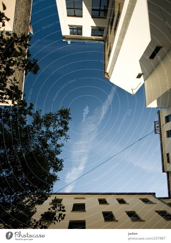 himmel überm hof in berlin Haus Himmel Schönes Wetter Gebäude Architektur Mauer Wand Fassade Fenster hoch blau Hinterhof Baum Außenaufnahme Menschenleer