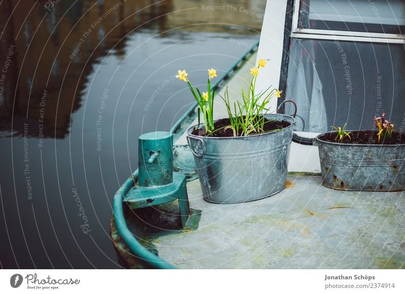 Blumen in Eimer auf einem Boot im Hafen Lifestyle Angeln Glück Zufriedenheit Lebensfreude Frühlingsgefühle Brighton Wasserfahrzeug Bootsfahrt Hausboot Kübel