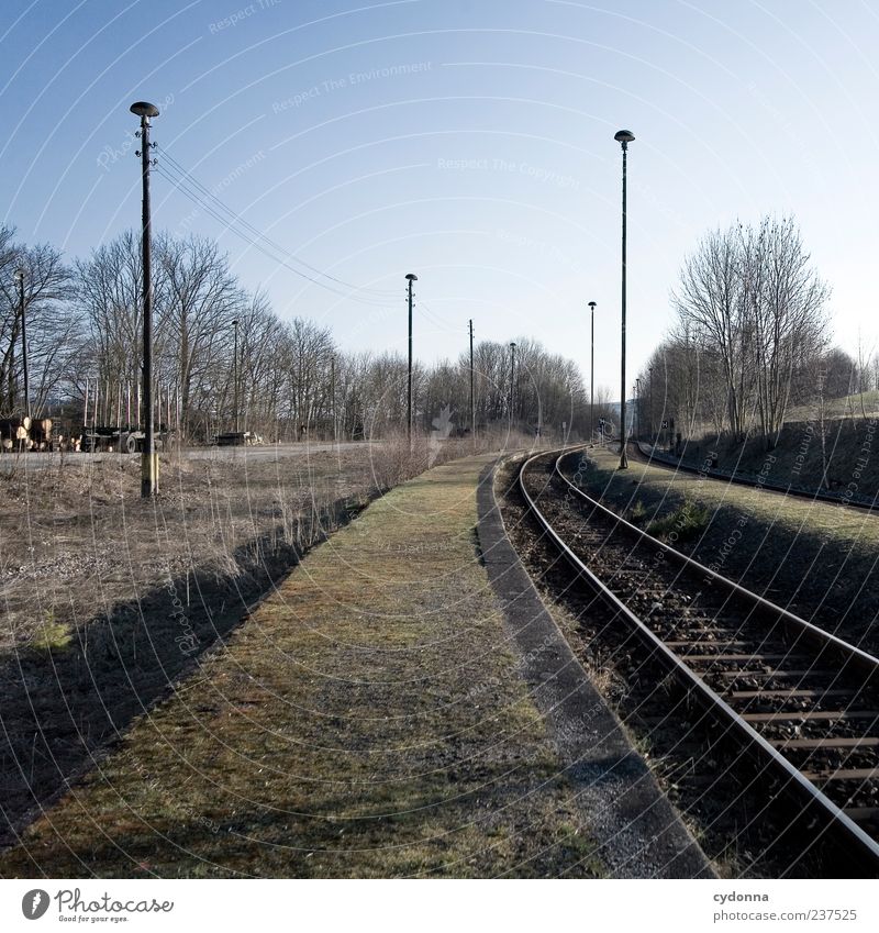 Warten Lifestyle Wohlgefühl Erholung ruhig Ferien & Urlaub & Reisen Ausflug Ferne Umwelt Natur Landschaft Wolkenloser Himmel Baum Wiese