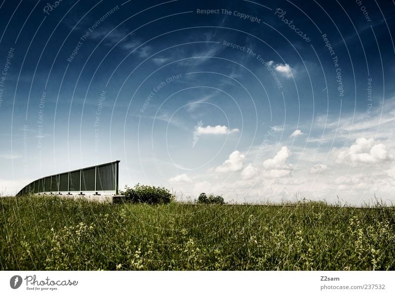 platz zum nachdenken Umwelt Natur Landschaft Himmel Wolken Sommer Pflanze Gras Brücke ästhetisch Ferne Unendlichkeit natürlich schön blau grün Zufriedenheit