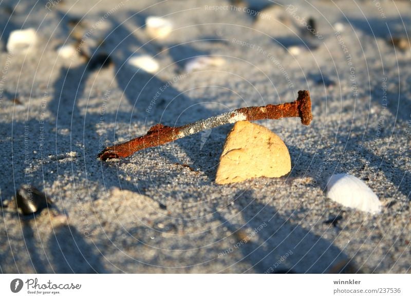 strandgut Umwelt Sand Küste Strand Ostsee Meer Stein Metall Natur ruhig Unendlichkeit Verfall Vergänglichkeit Wandel & Veränderung Farbfoto Außenaufnahme