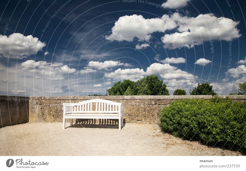 Platz an der Sonne Bank Himmel Wolken Schönes Wetter Park Mauer Wand Garten Pause ruhig Blauer Himmel Hecke Sitzgelegenheit Farbfoto Außenaufnahme Menschenleer