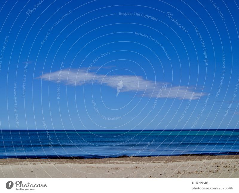 Strand von Can Picafort. Ferien & Urlaub & Reisen Sonne Meer Frühling Erde Sand Wasser Himmel Wolkenloser Himmel Horizont Sonnenlicht Schönes Wetter Küste Insel