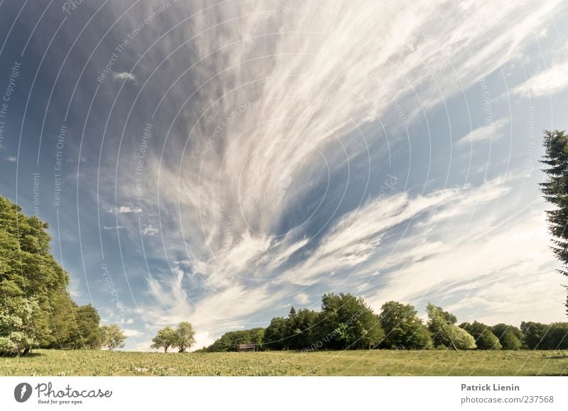 Out of space Ferne Umwelt Natur Landschaft Pflanze Urelemente Luft Himmel Wolken Sommer Klima Klimawandel Wetter Wind Baum Wiese Wald oben blau weiß Einsamkeit