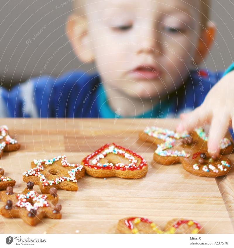 Plätzchen-Dieb Lebensmittel Teigwaren Backwaren Süßwaren Schokolade Ernährung Essen Mensch Kind Kleinkind Kindheit Hand 1 1-3 Jahre lecker süß entwenden