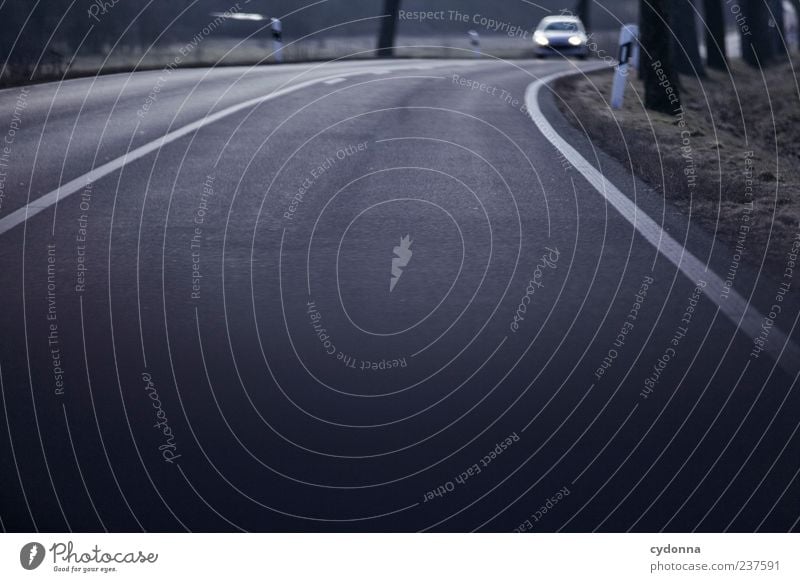 Gegenverkehr Ausflug Baum Verkehr Straßenverkehr Autofahren Wege & Pfade PKW Schilder & Markierungen Bewegung Erwartung Zeit Ziel Asphalt Fahrbahnmarkierung