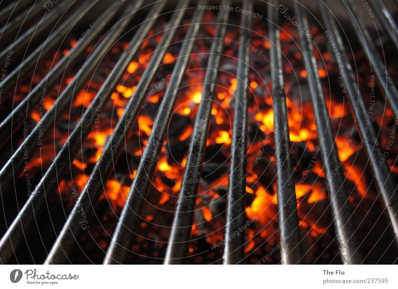 Auf heißen Kohlen! Grill Holz Metall gelb rot schwarz Grillen Holzkohle Feuer Glut glühen Wärme Farbfoto Detailaufnahme Kontrast Vogelperspektive Menschenleer