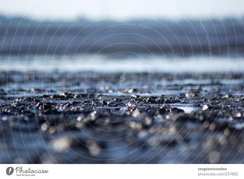 How high is the water, mama? Ferien & Urlaub & Reisen Sommer Sommerurlaub Strand Meer Insel Umwelt Natur Landschaft Erde Wasser Himmel Klimawandel Küste Nordsee