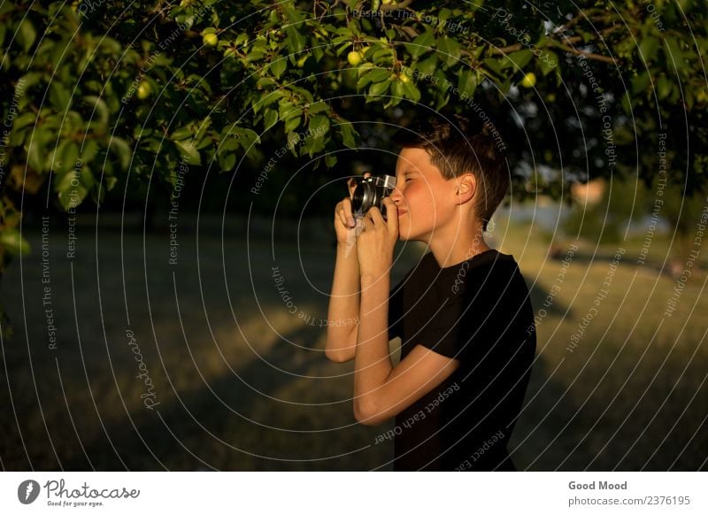 Junge Fotografin mit Retro-Filmkamera im Garten Stil schön Freizeit & Hobby Ferien & Urlaub & Reisen Sommer Sonne Fotokamera Technik & Technologie Mensch Mann