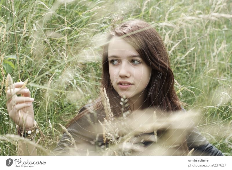 just a dream Mensch feminin Junge Frau Jugendliche Erwachsene 1 Umwelt Natur Sommer Wiese brünett langhaarig Scheitel beobachten schön einzigartig Gefühle