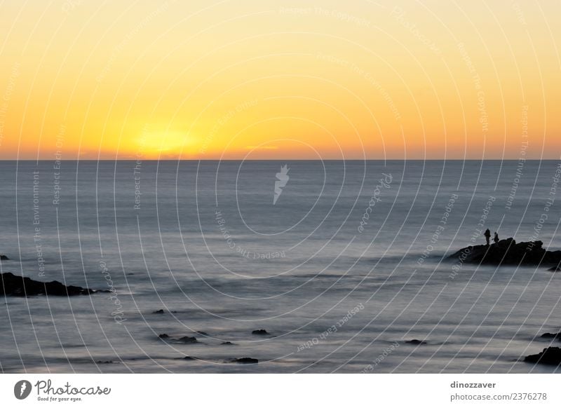 Silhouette von Fischen im Sonnenuntergang schön Ferien & Urlaub & Reisen Sommer Strand Meer Natur Landschaft Sand Himmel Horizont Wetter Küste lang blau gelb