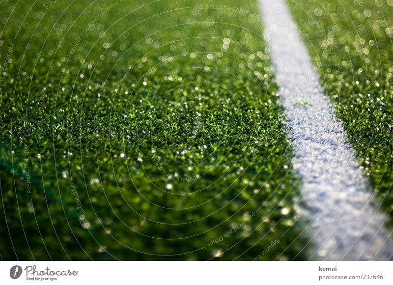 Auslinie Linie Fußball Sportstätten Fußballplatz Kunstrasen Kunstrasenplatz glänzend grün weiß Halm künstlich Farbfoto Außenaufnahme Nahaufnahme Menschenleer