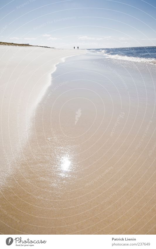 In die Ferne schweifen Freizeit & Hobby Ferien & Urlaub & Reisen Tourismus Ausflug Freiheit Sommer Sommerurlaub Strand Meer Insel Wellen Umwelt Natur Landschaft