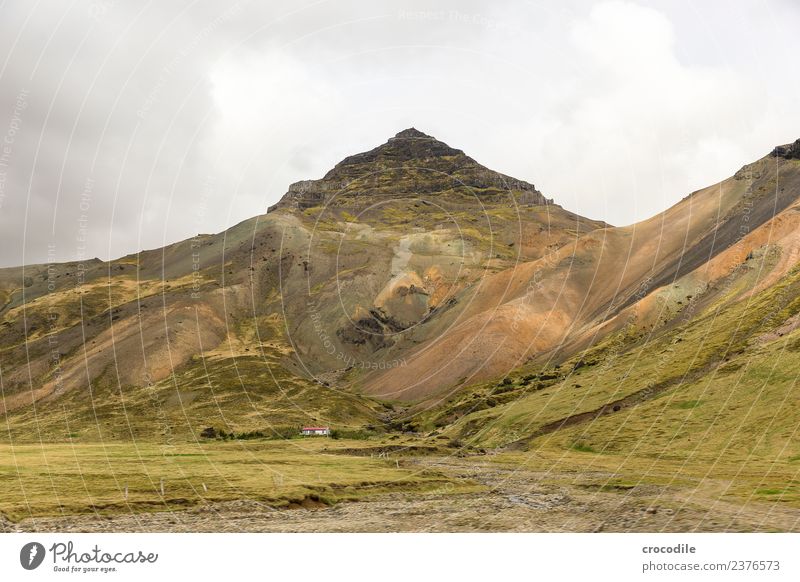 Island II Vulkan Ringstrasse Moos Flechten Berge u. Gebirge Lava Eruption grün Panorama (Aussicht) wandern Fluss Gipfel Ferne Bauernhof