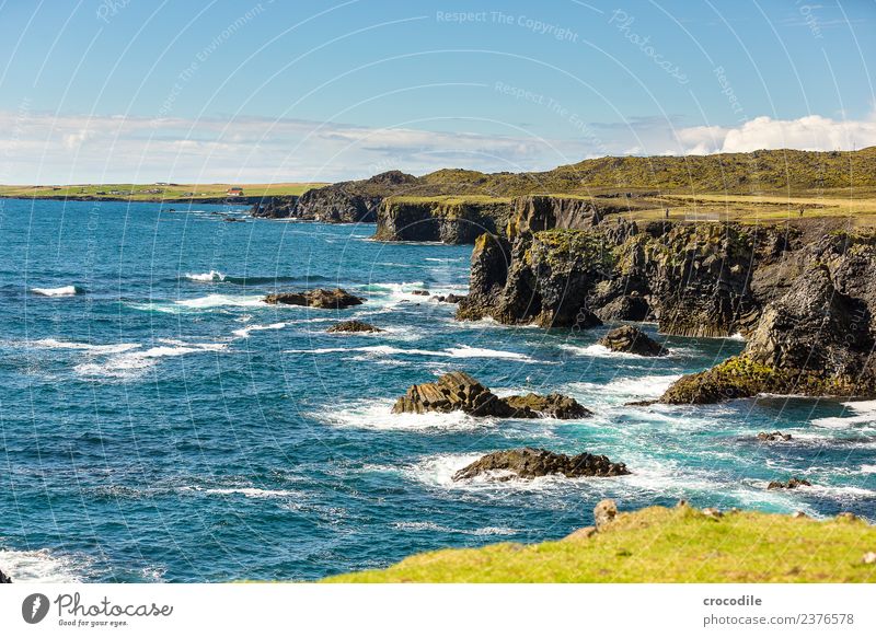 Island VI Klippe Ringstrasse Moos Flechten Berge u. Gebirge Lava grün Panorama (Aussicht) Panorama (Bildformat) wandern Ferne Meer Atlantik Wasser Felsen