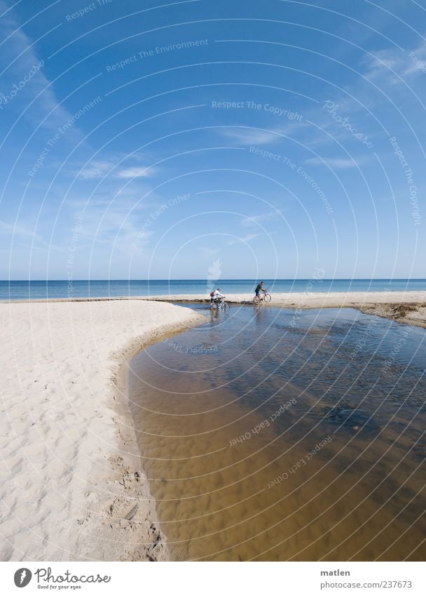 Seefahrer Ausflug Fahrradtour Sommer Strand Meer Fahrradfahren Mensch 2 Landschaft Sand Wasser Himmel Wolken Schönes Wetter Küste Flussufer Ostsee Erholung hell