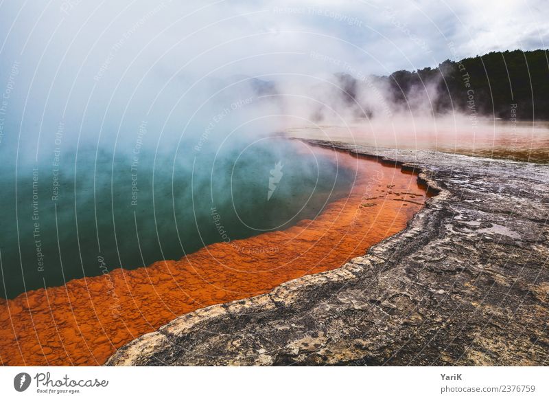 Wai-O-Tapu Ferien & Urlaub & Reisen Tourismus Ausflug Abenteuer Ferne Freiheit Sightseeing Sommer Berge u. Gebirge wandern Umwelt Urelemente Wasser Klima Nebel