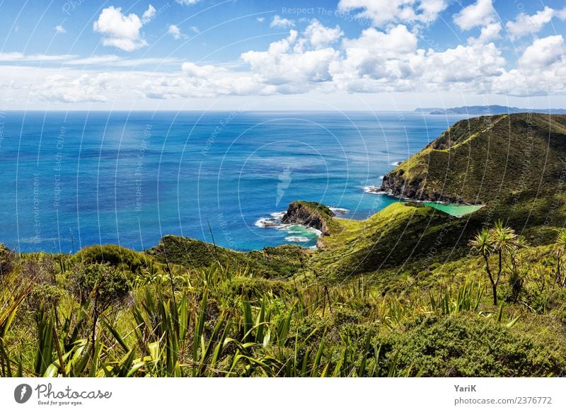 Cape Reinga - EastCoast Ferien & Urlaub & Reisen Tourismus Ausflug Abenteuer Ferne Freiheit Sightseeing Kreuzfahrt Camping Sommer Sommerurlaub Sonne Sonnenbad