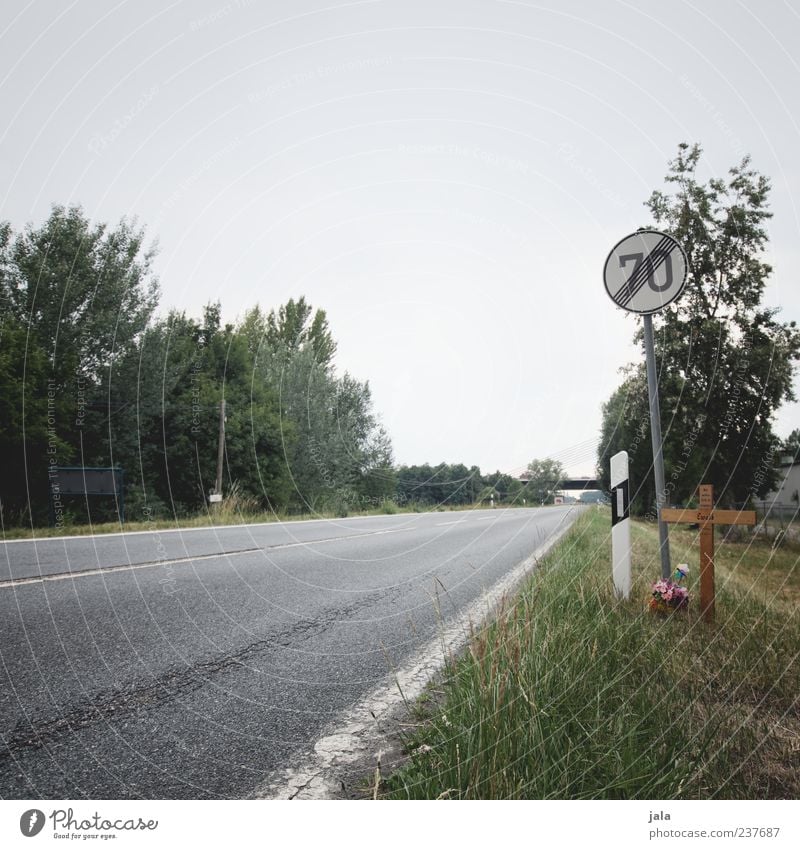 nur ein wimpernschlag... Landschaft Pflanze Baum Blume Gras Sträucher Verkehrswege Straße Verkehrszeichen Verkehrsschild Traurigkeit Trauer Tod Unfall unfallort