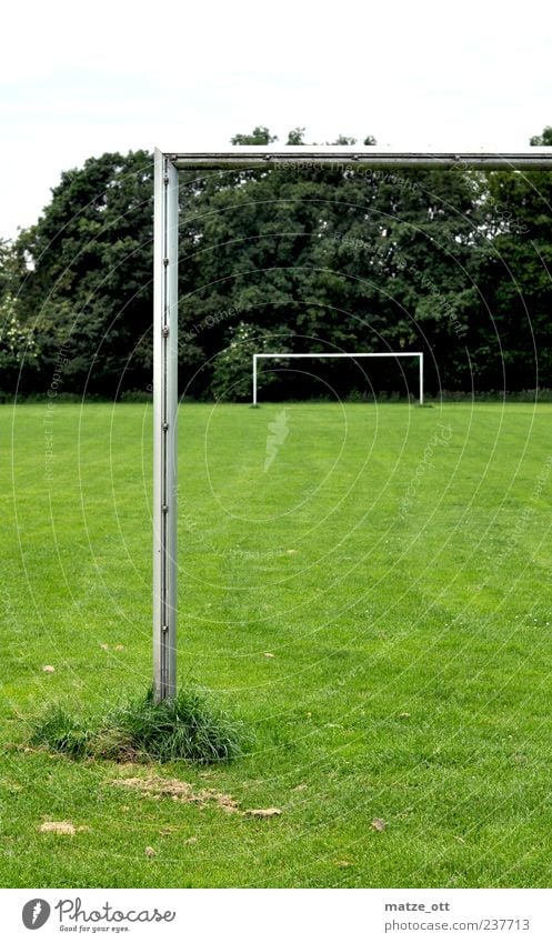 Tor im Tor Freizeit & Hobby Ballsport Fußball Sportstätten Fußballplatz Pfosten grasgrün Gras ruhig Einsamkeit Fußballtor Lattenkreuz Baum Farbfoto Menschenleer