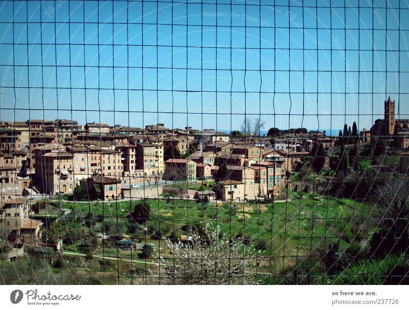 siena grid Landschaft Kleinstadt historisch Originalität Gelassenheit Ferien & Urlaub & Reisen Schutz Symmetrie Ferne mehrfarbig Außenaufnahme Menschenleer Tag