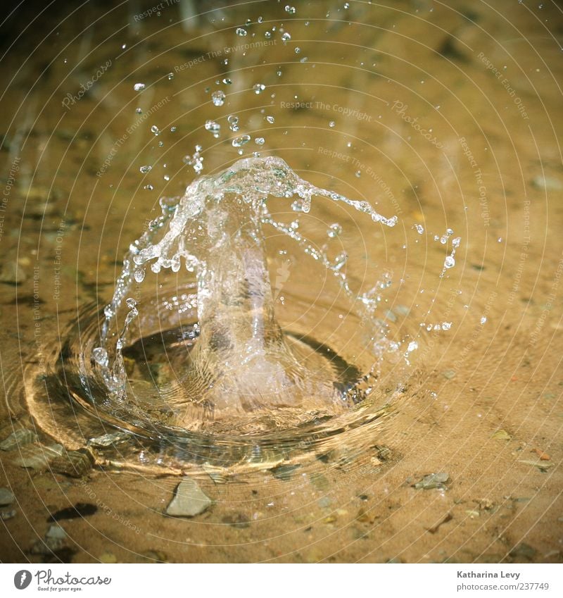 *splash* Natur Urelemente Erde Wasser Wassertropfen Sommer Klima Schönes Wetter Seeufer Teich Bach Fluss Flüssigkeit glänzend nass natürlich gelb Bewegung