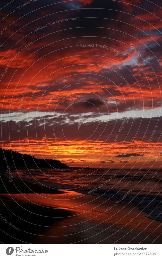 Sonnenuntergang am Meer Umwelt Natur Landschaft Erde Sand Luft Wasser Himmel Wolken Horizont Sonnenaufgang Schönes Wetter Küste Strand Ostsee authentisch