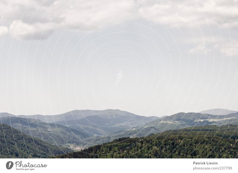 Freiraum schaffen schön Ferne Berge u. Gebirge Umwelt Natur Landschaft Urelemente Luft Himmel Wolken Wetter Schönes Wetter Baum Wald ästhetisch Einsamkeit