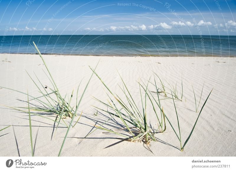 Spiekeroog ??? Ferien & Urlaub & Reisen Ferne Freiheit Sommer Sommerurlaub Strand Meer Insel Wellen Natur Landschaft Sand Klima Schönes Wetter Küste Nordsee