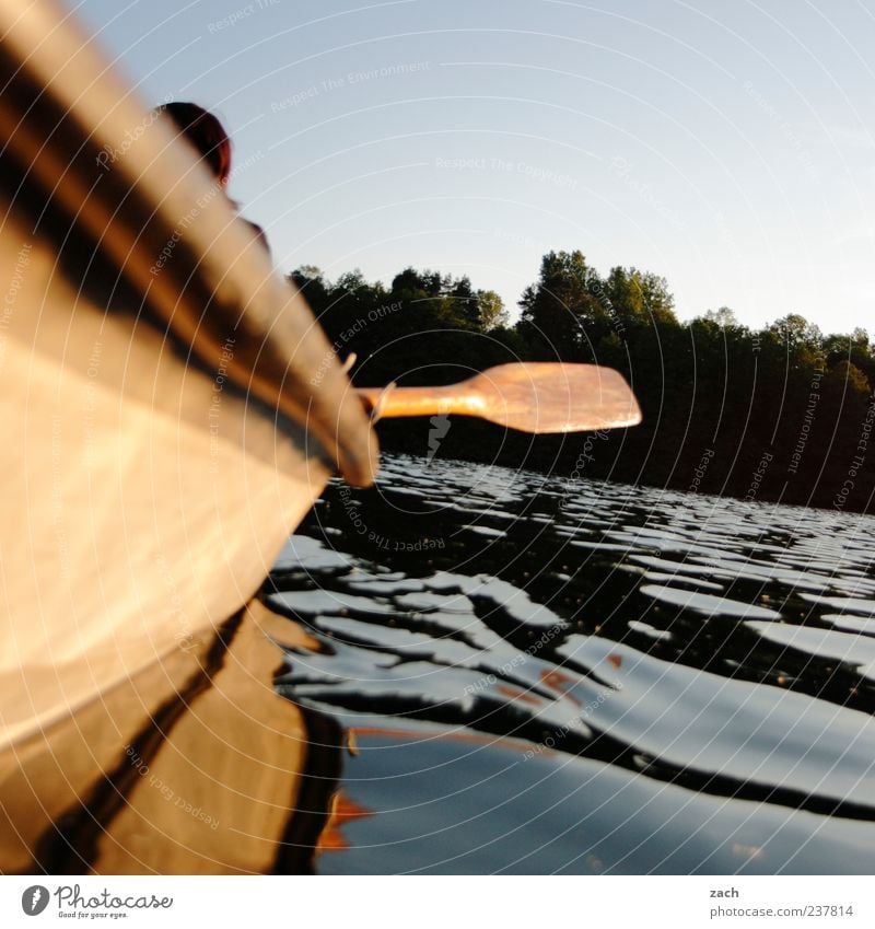 und es war Sommer Erholung ruhig Angeln Ferien & Urlaub & Reisen Ausflug Sommerurlaub 1 Mensch Wasser Wolkenloser Himmel Baum Küste Seeufer Teich schmaler luzin